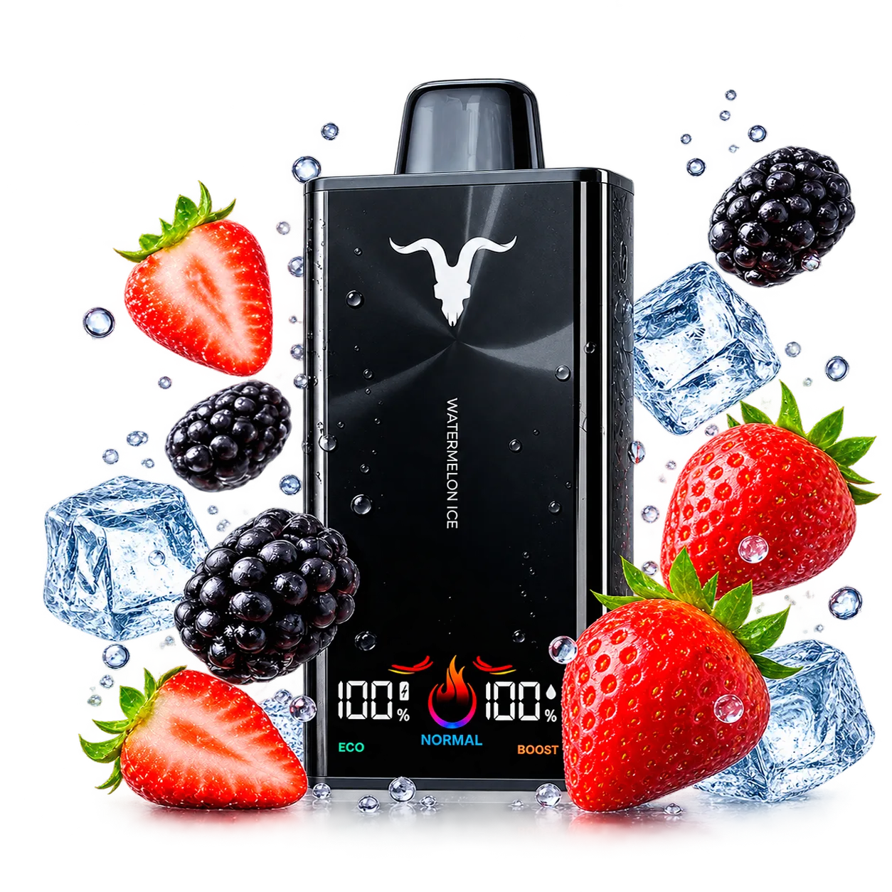 Ignite V300
